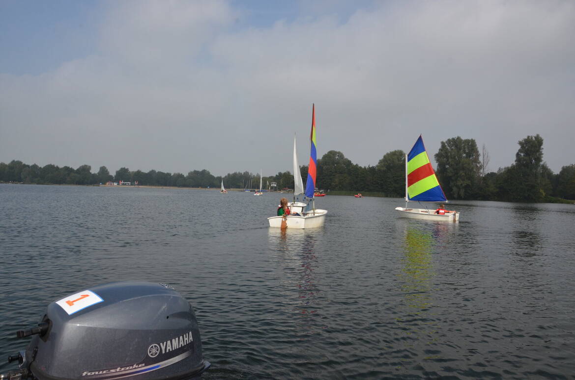 dsc-2556 dsc-2556